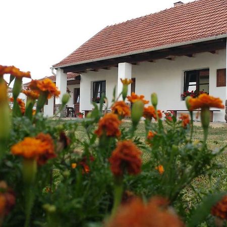 Oncsa Vendeghaz Hotel Gyöngyös Екстериор снимка