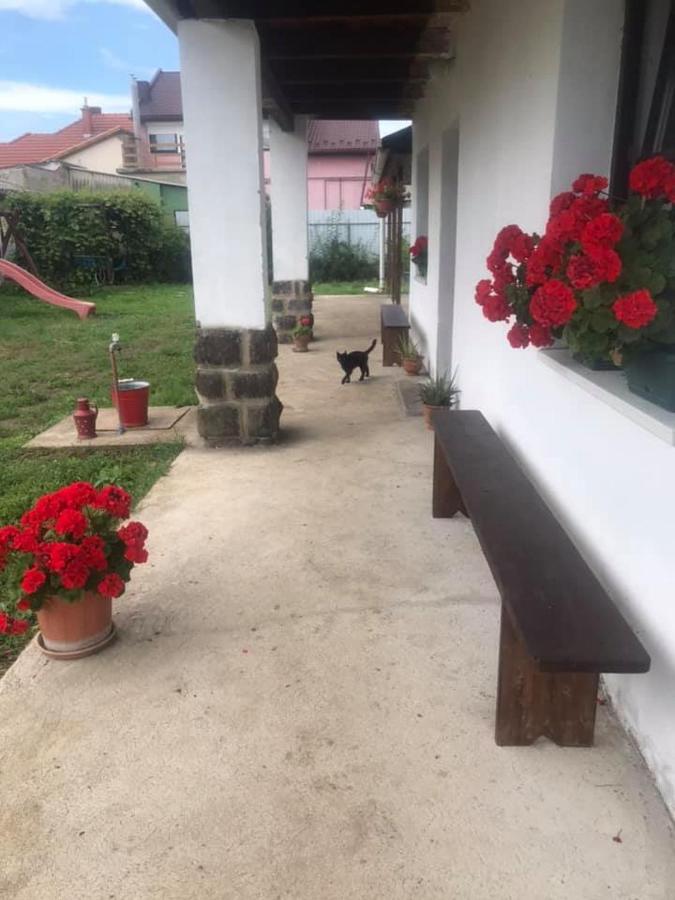 Oncsa Vendeghaz Hotel Gyöngyös Екстериор снимка